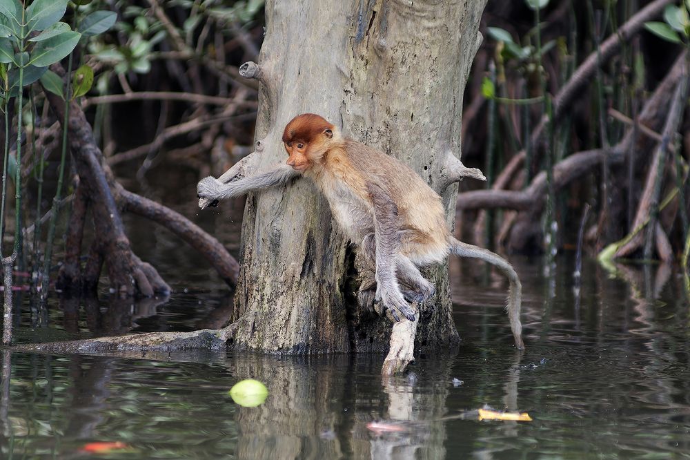 Photograph by Olga Sizova