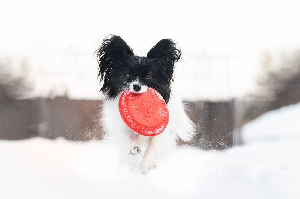 Photograph by Veronika Zatorkina