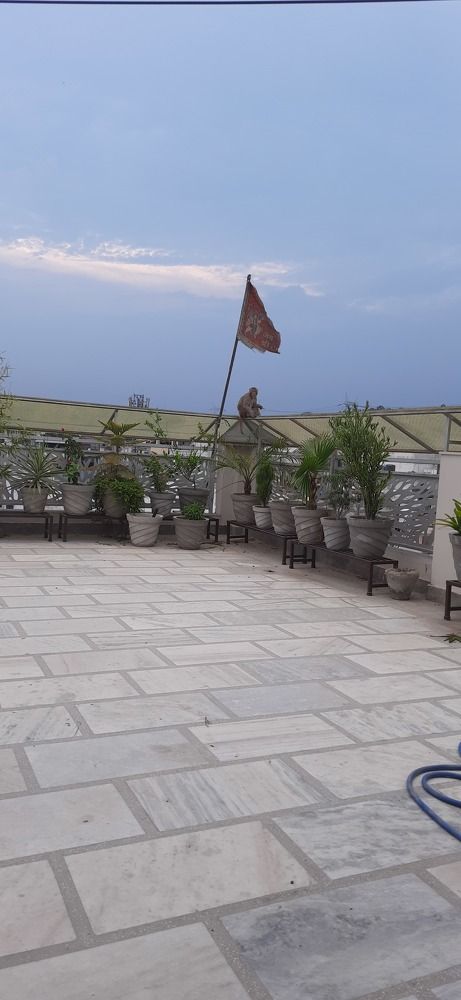 Photograph by Khushi Vashisth