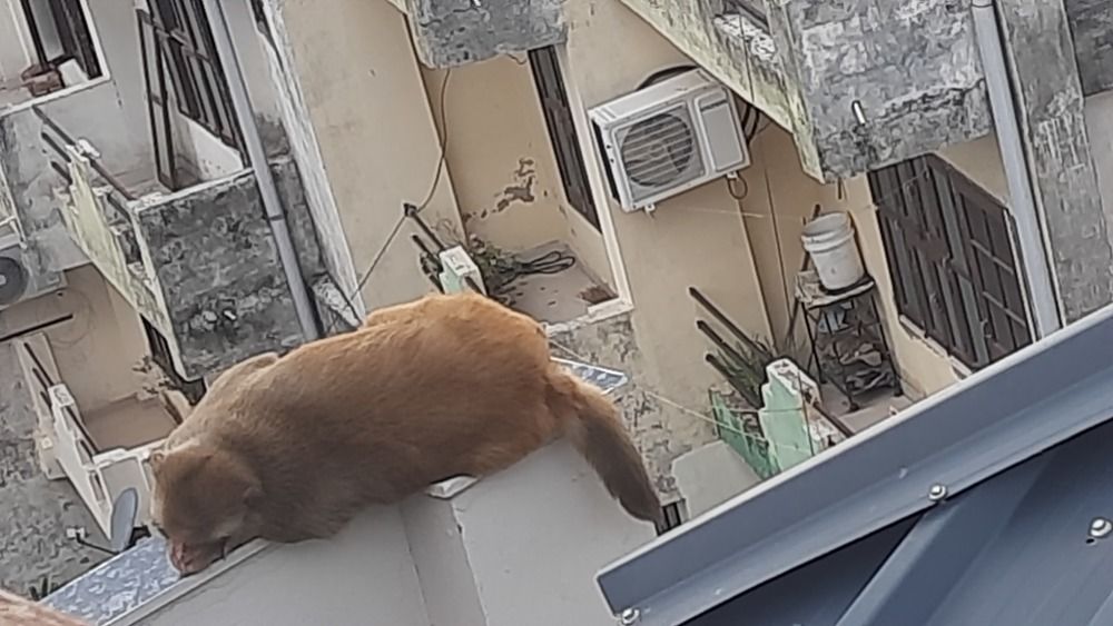 Photograph by Khushi Vashisth