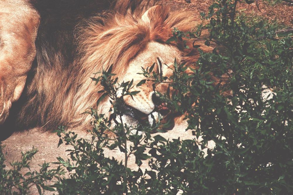 Photograph by Татьяна Ефимова