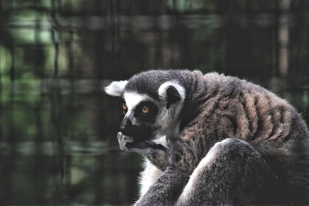 Photograph by Татьяна Ефимова