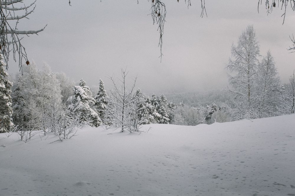 Фотография автора Nadezhda