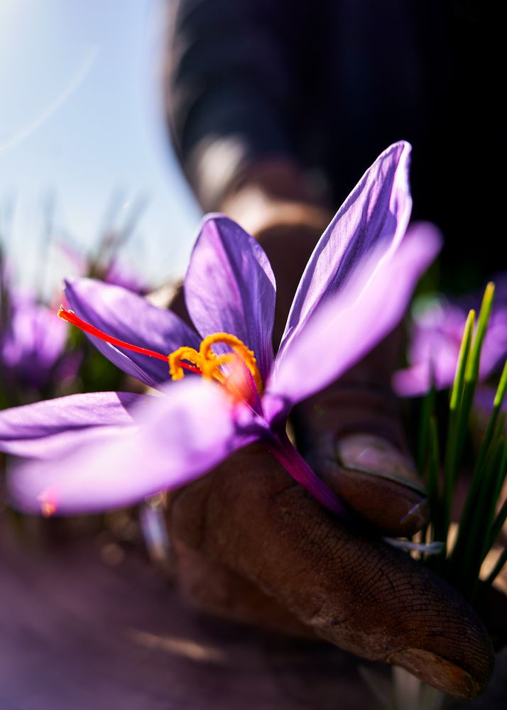 Photograph by jaber jahan