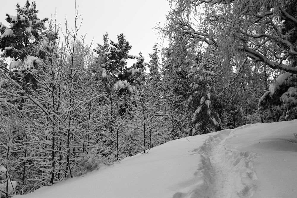 Фотография автора Nadezhda