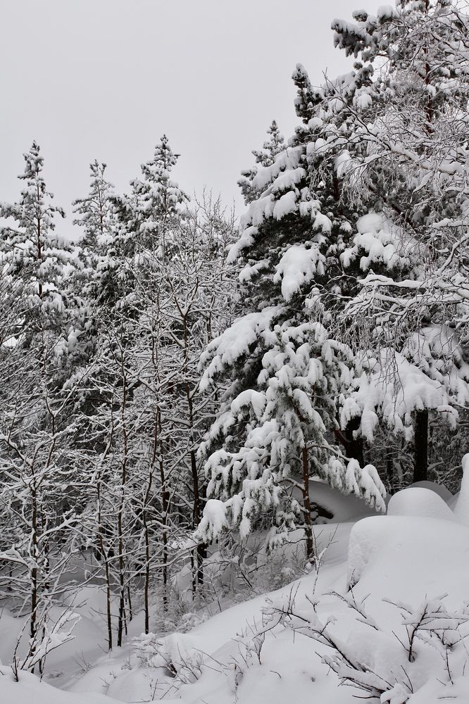 Фотография автора Nadezhda