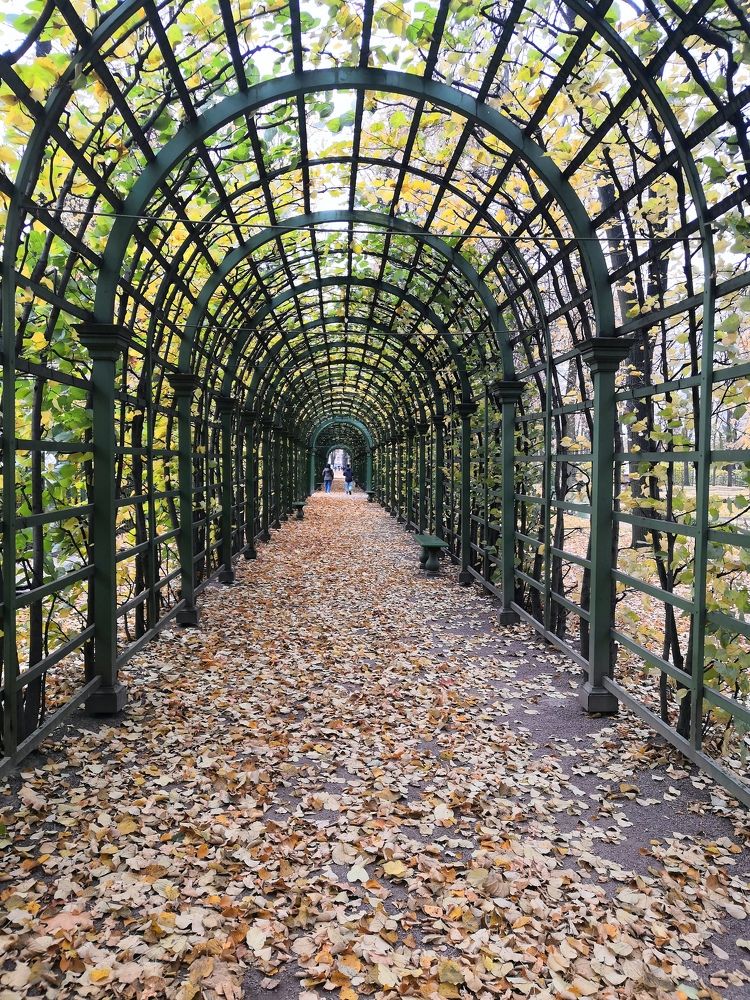 Фотография автора Юрий Рудый