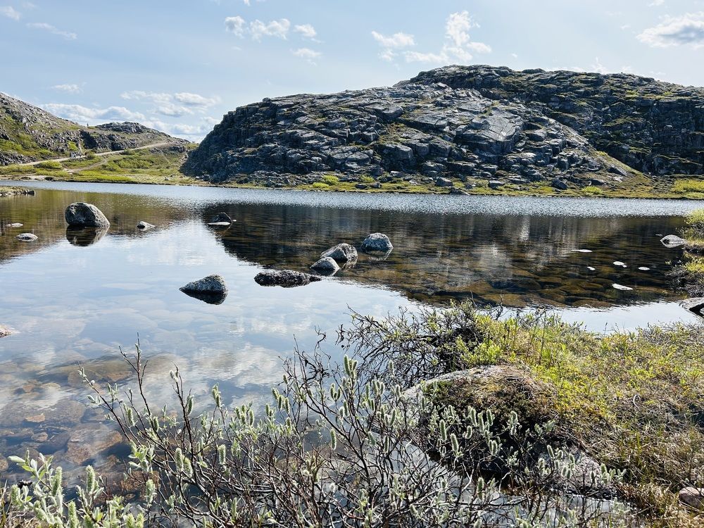 Photograph by Лариса Кошеляевская