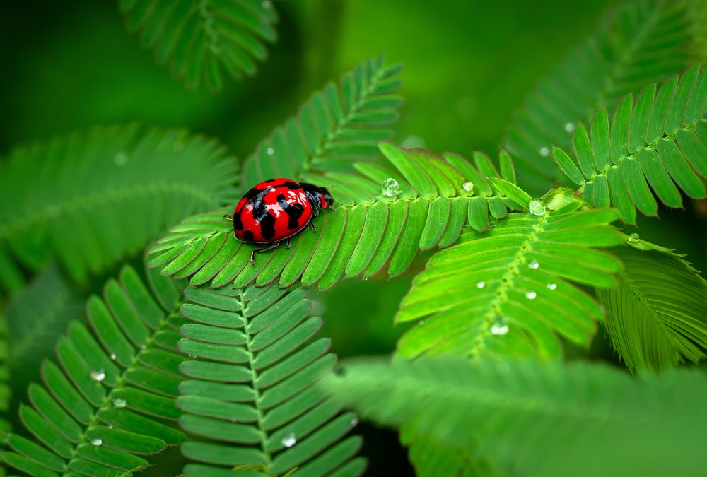 Photograph by Tran Phuong