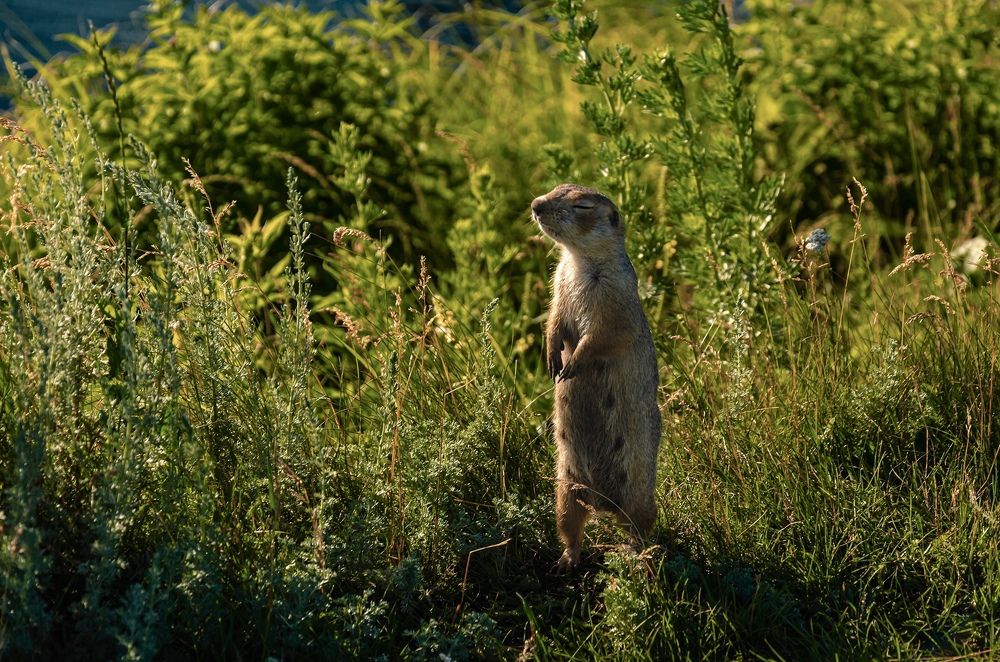 Фотография автора Lyudmila Yakovleva