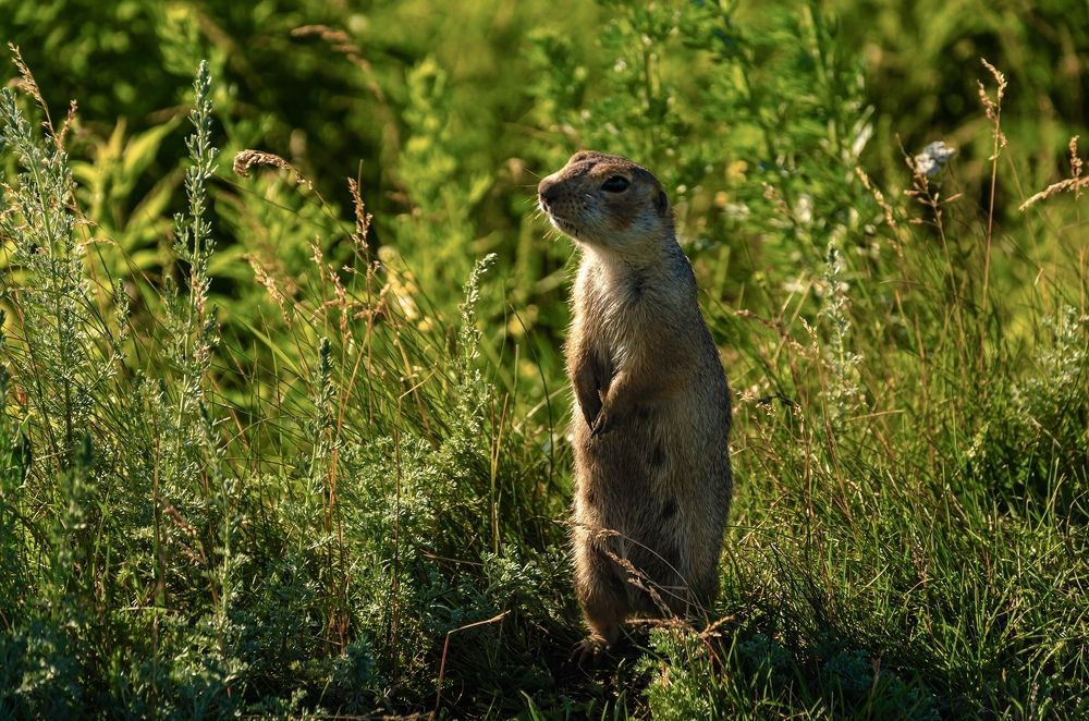 Фотография автора Lyudmila Yakovleva