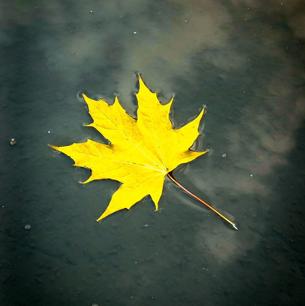 Photograph by Светлана Таркан