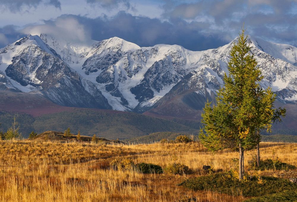 Photograph by Галина Хвостенко
