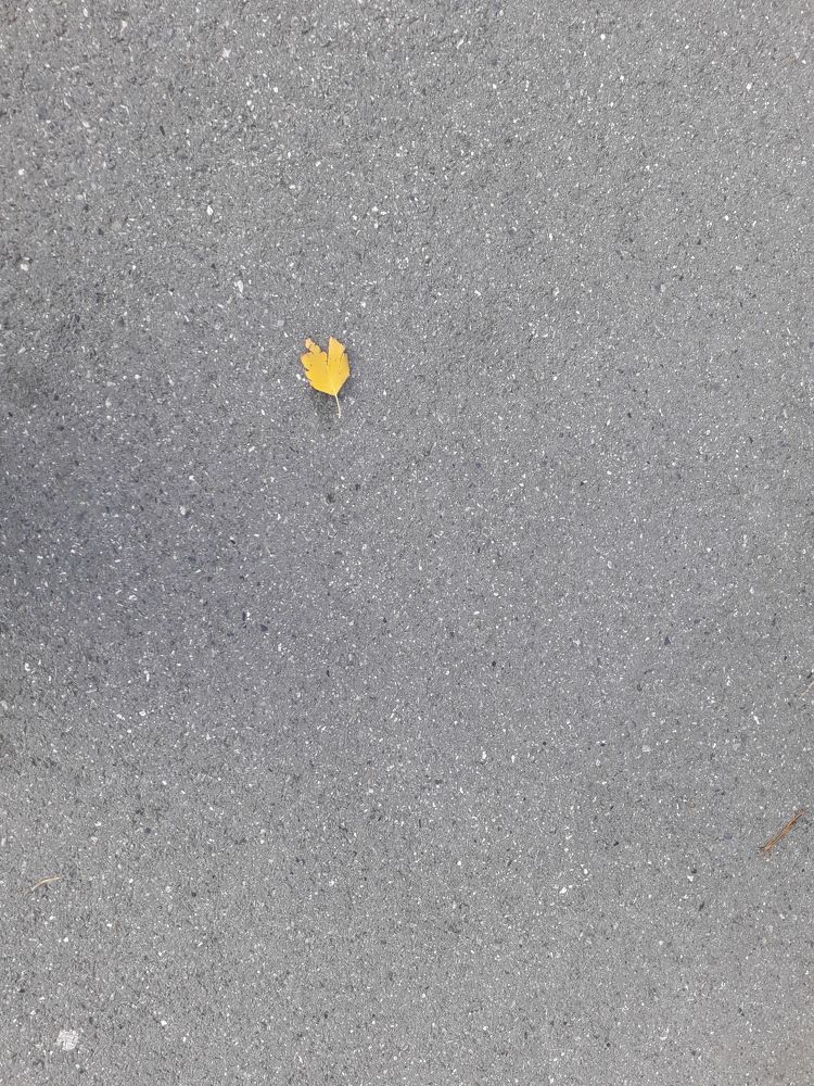 Photograph by Людмила Скочилова