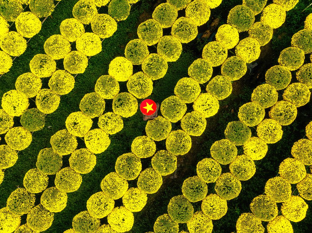 Photograph by Tran Phuong