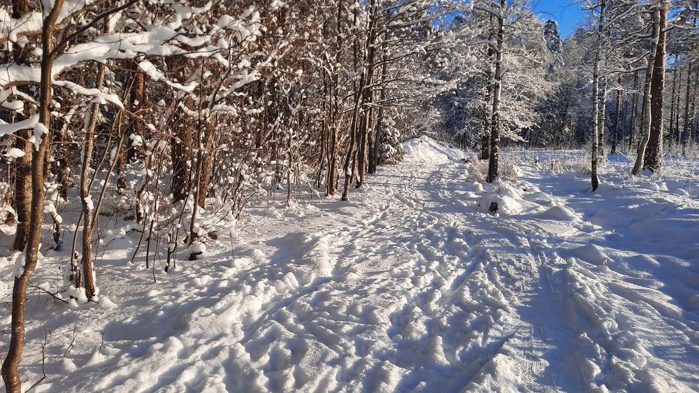 Photograph by Валерия Яскович