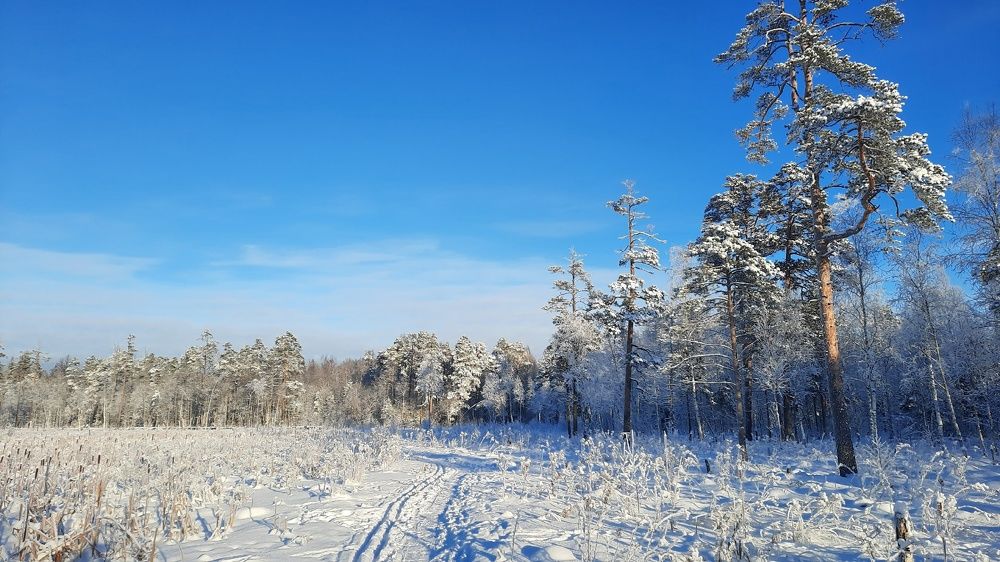 Photograph by Валерия Яскович