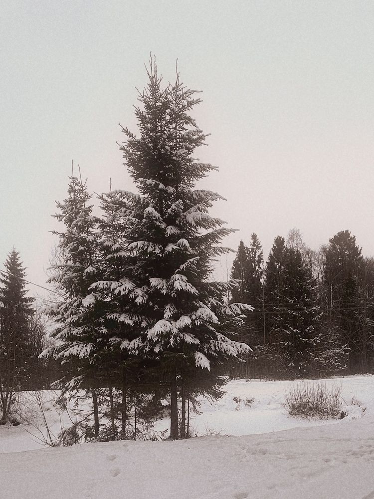 Photograph by Yulia Kotova