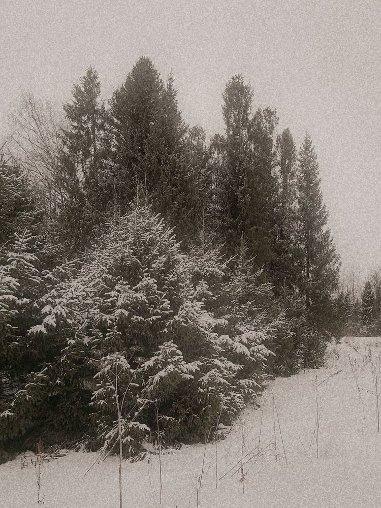 Photograph by Yulia Kotova