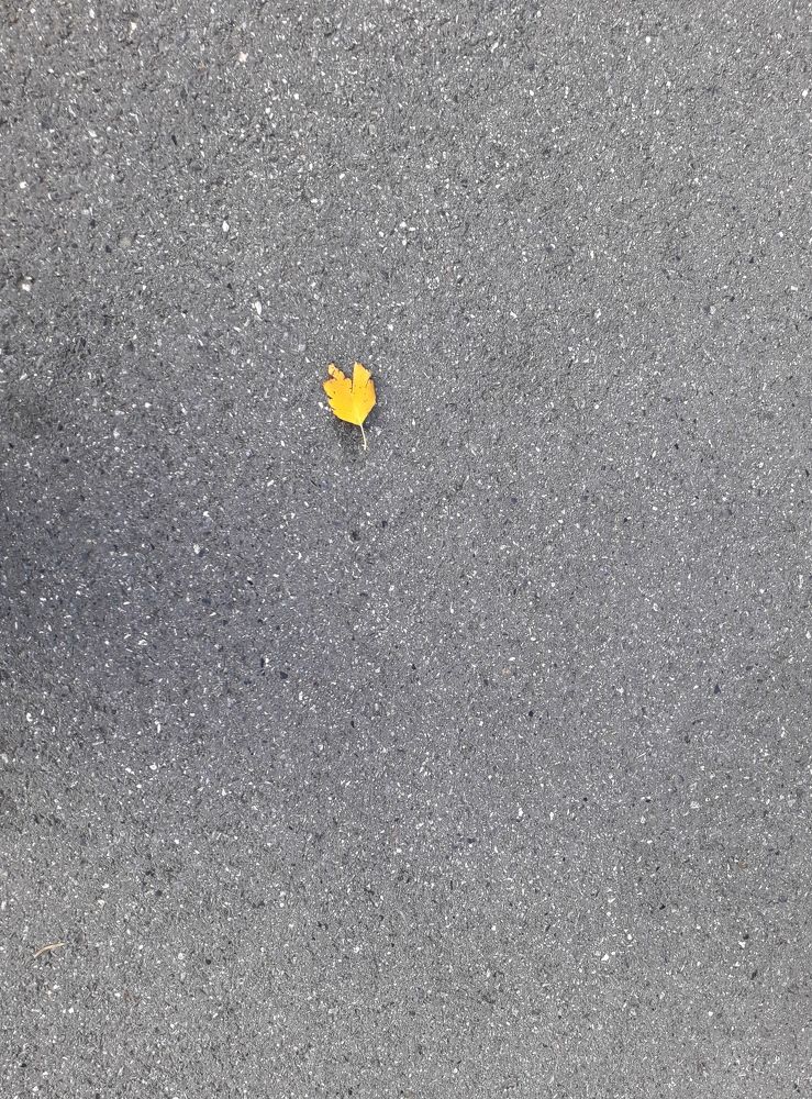 Photograph by Людмила Скочилова