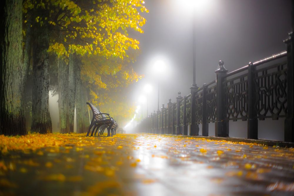 Ночные туманные сказания осени