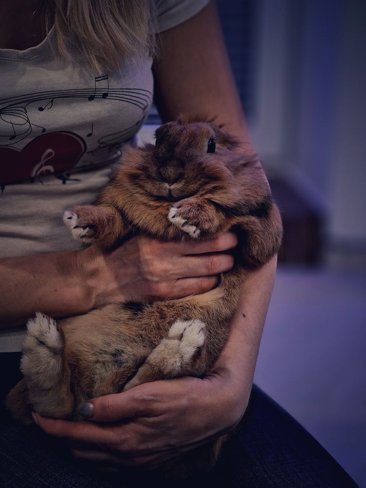 Фотография автора Maryna Pytliak