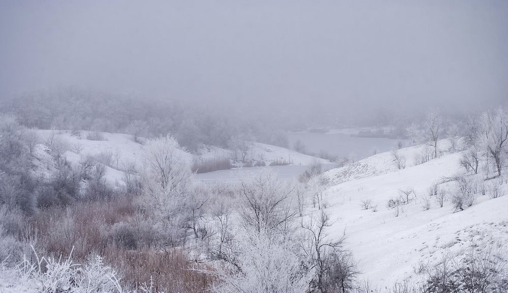 Photograph by Татьяна Коваленко