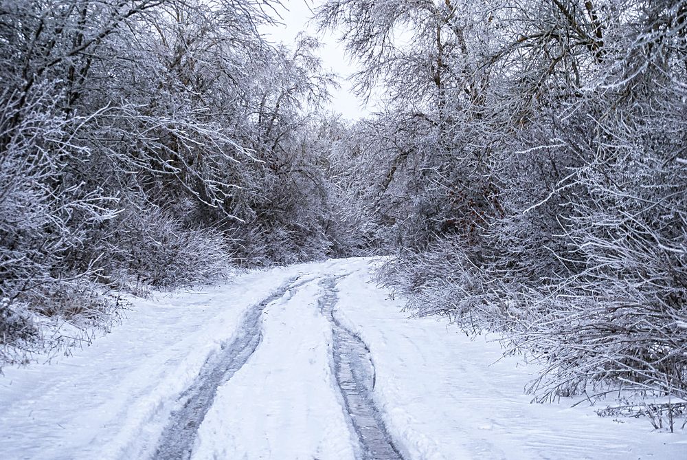 Photograph by Татьяна Коваленко