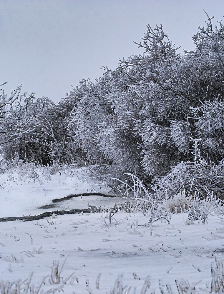 Photograph by Татьяна Коваленко