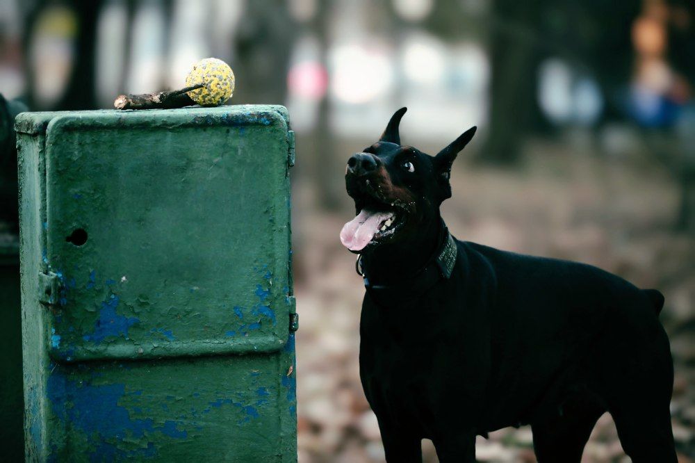 Photograph by Татьяна Полоцкая