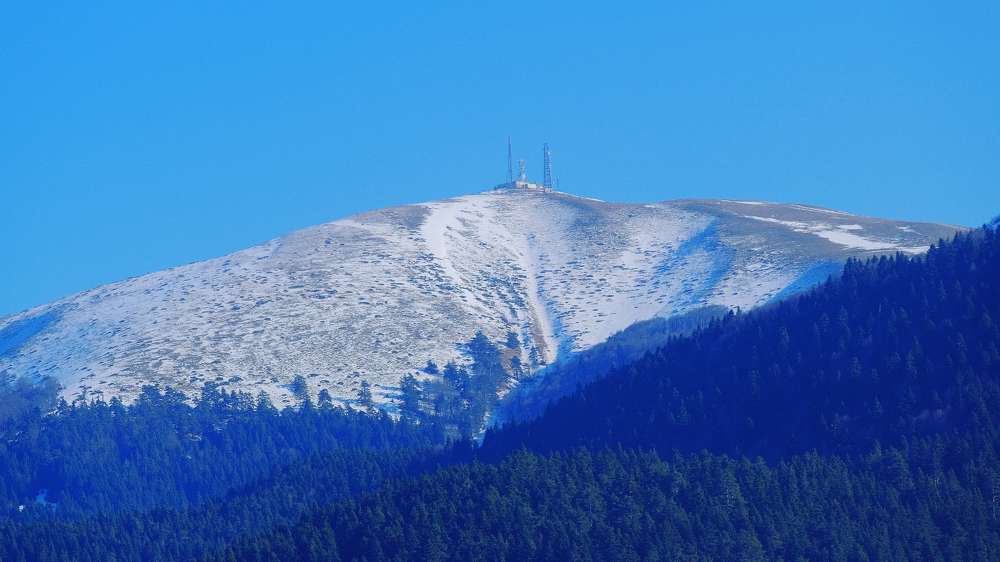 Фотография автора Irina Krasnopevzeva