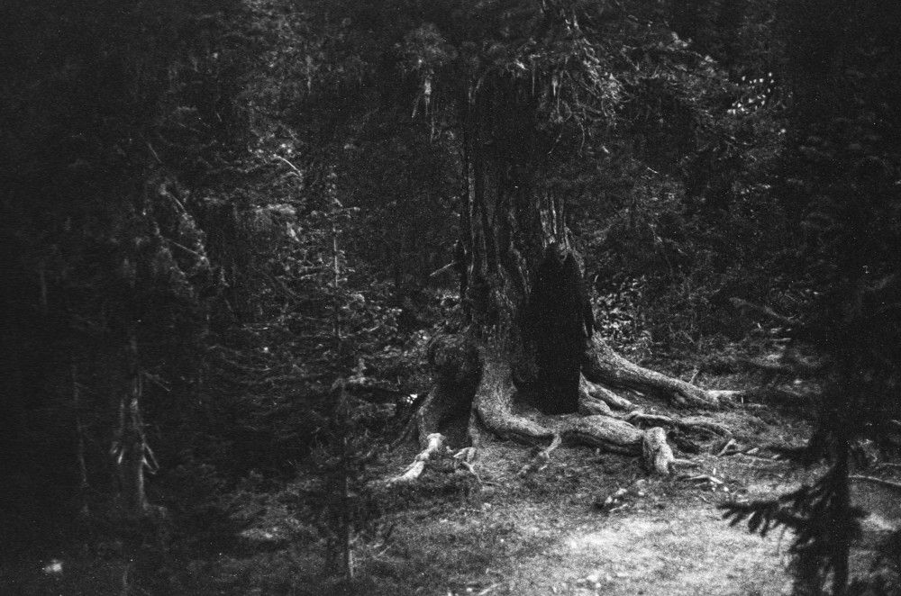 Photo #11733146