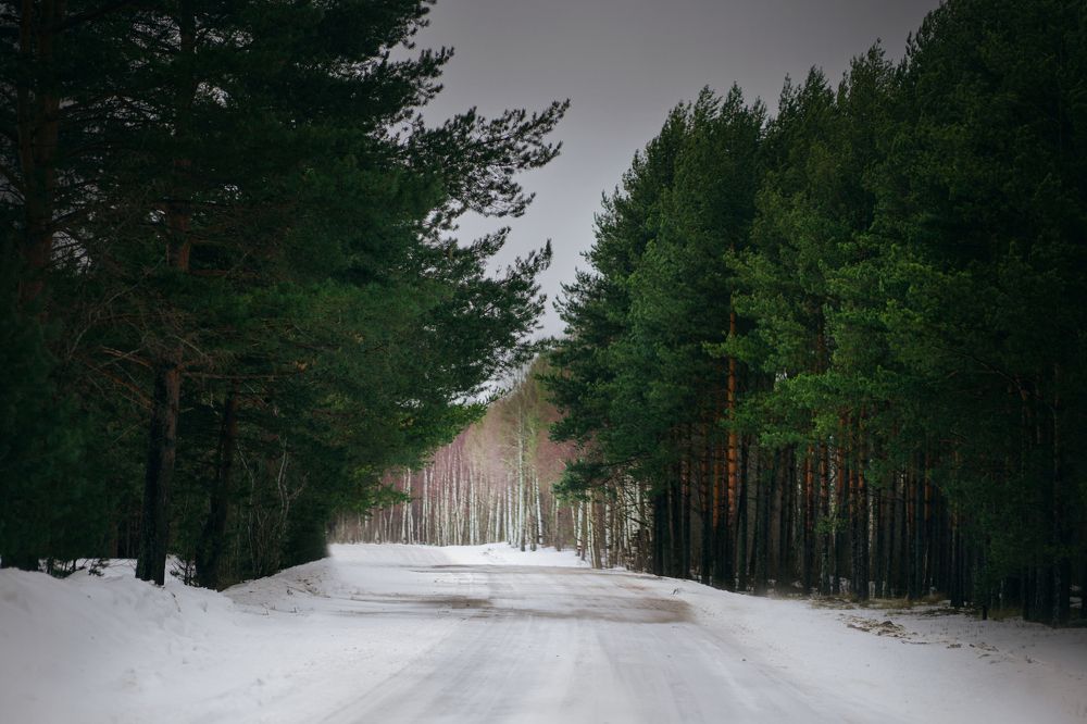 Photograph by Элен Пройс