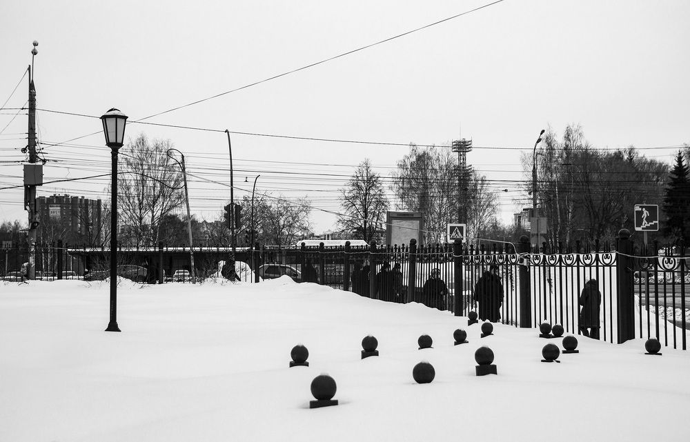 Фотография автора Андрей Рогов