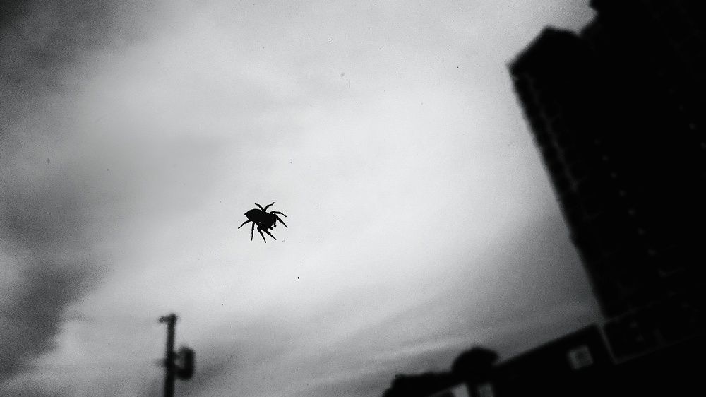 Photograph by Jose Contreras
