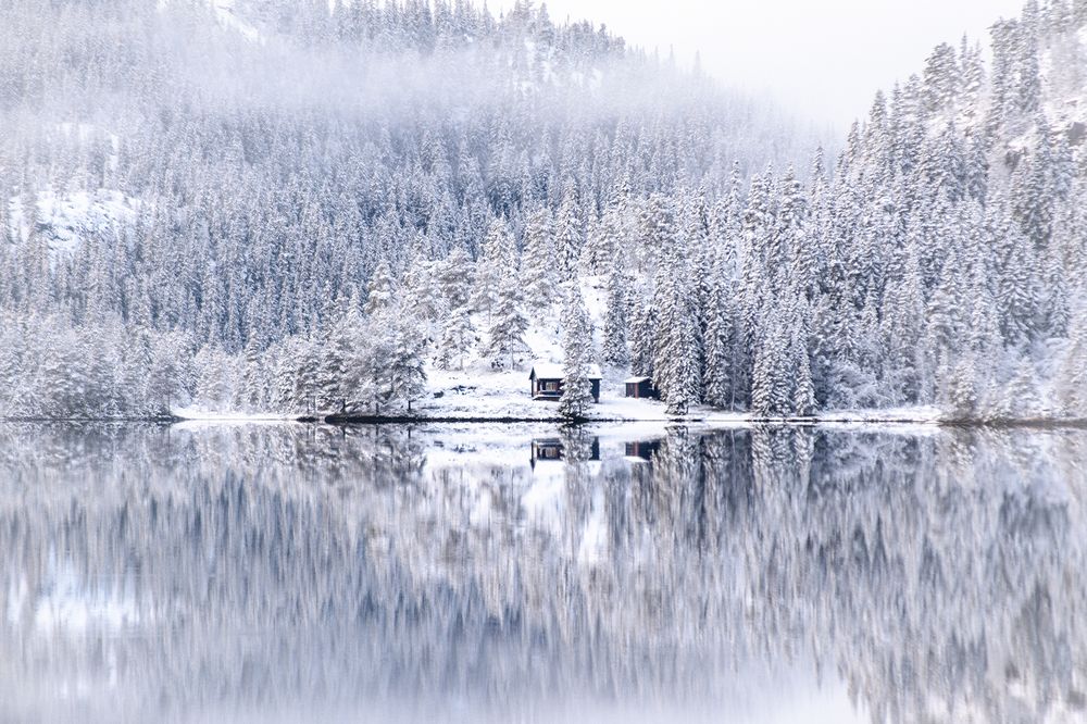 Photograph by Renee Johansson