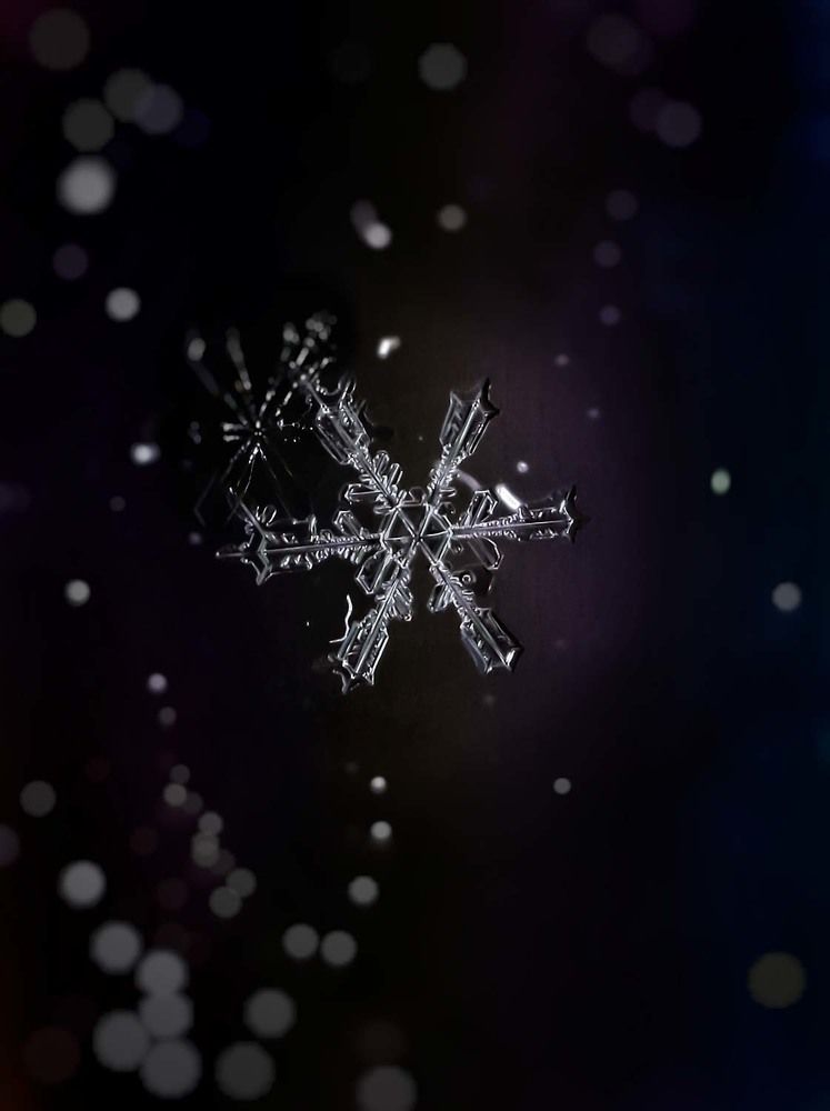 Photograph by Сергей Назаредский