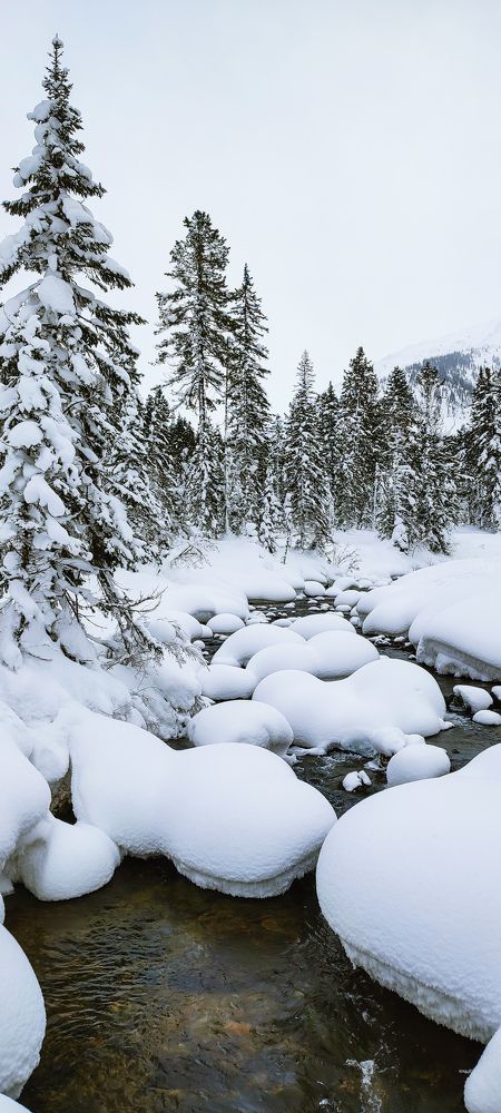 Фотография автора Оркина Ксения