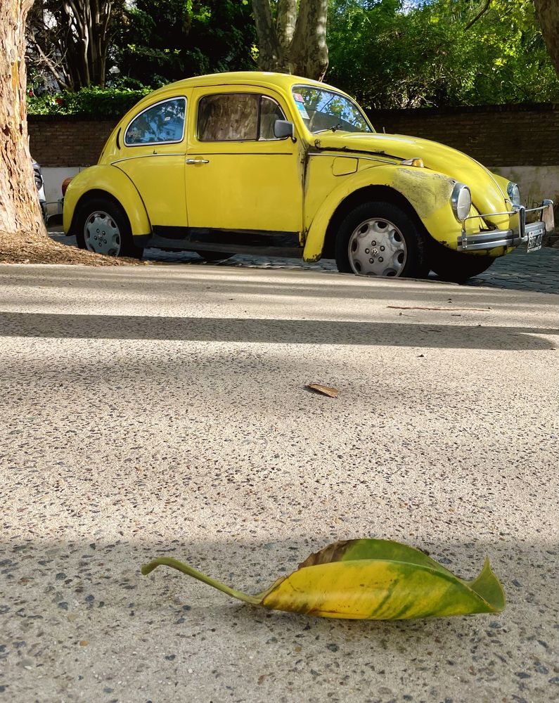 Photograph by Rada Olshevskaya