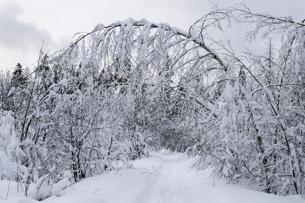 Photograph by Aleksandr Larionov