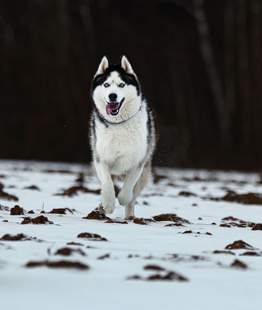 Photograph by Мария Ирешева