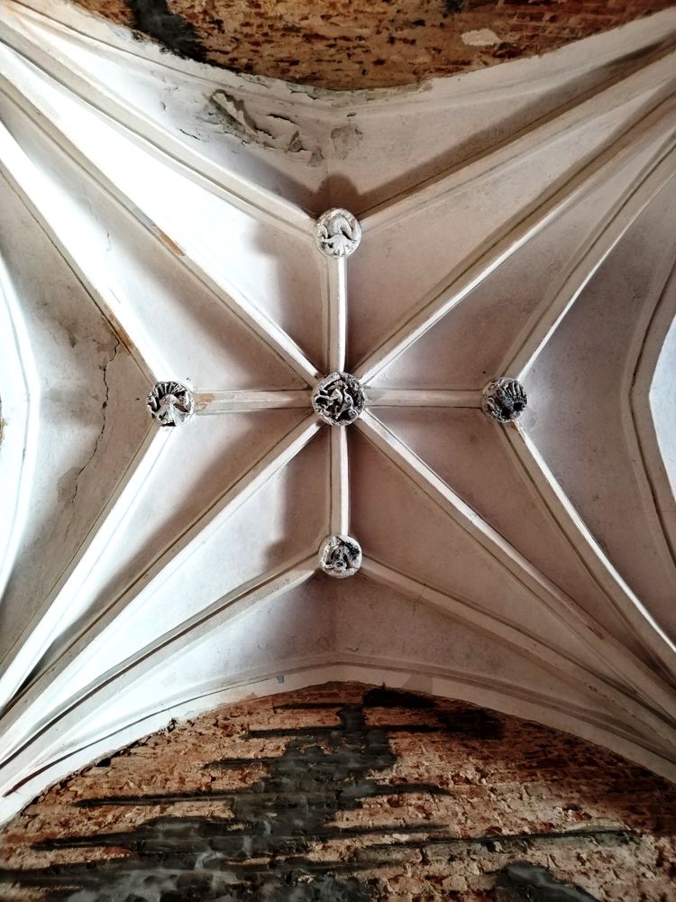 Фотография автора Ирина Пивненко