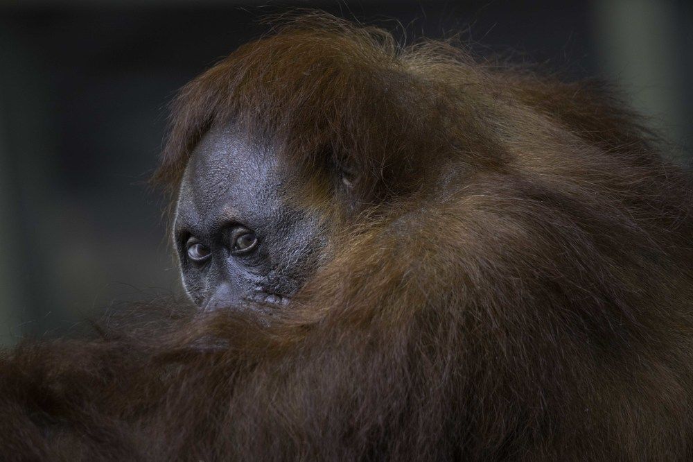 Photograph by ALI Pashang