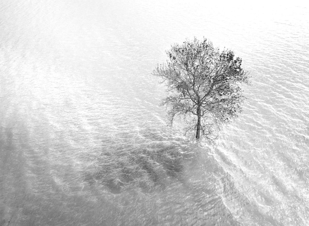 Photograph by Tran Phuong