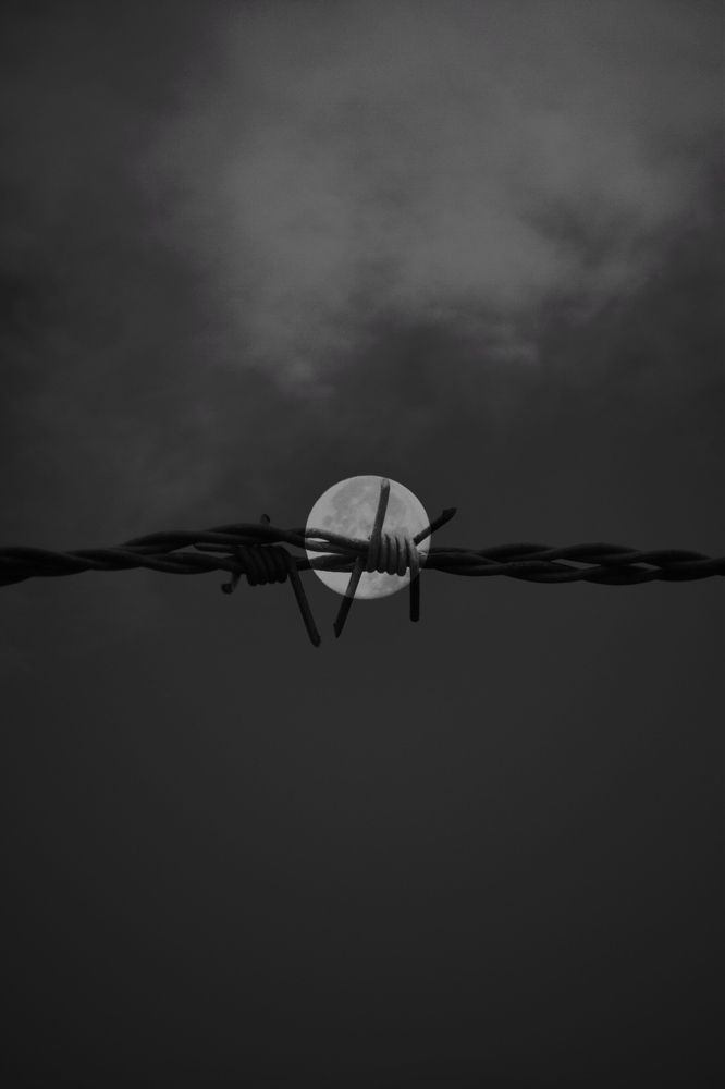 Photograph by Aksana Smagure