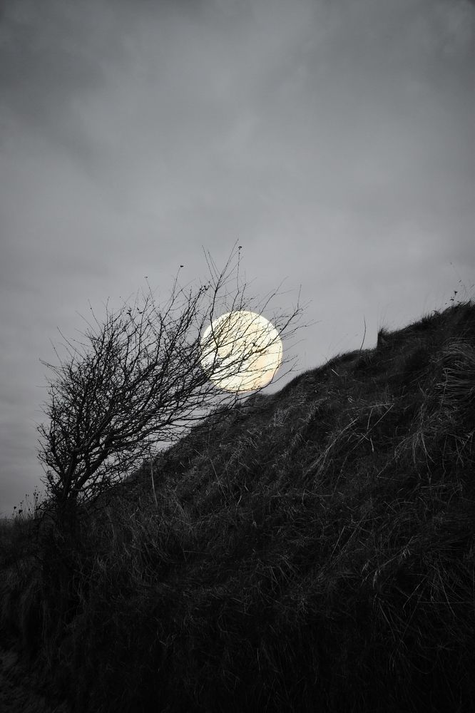 Photograph by Aksana Smagure