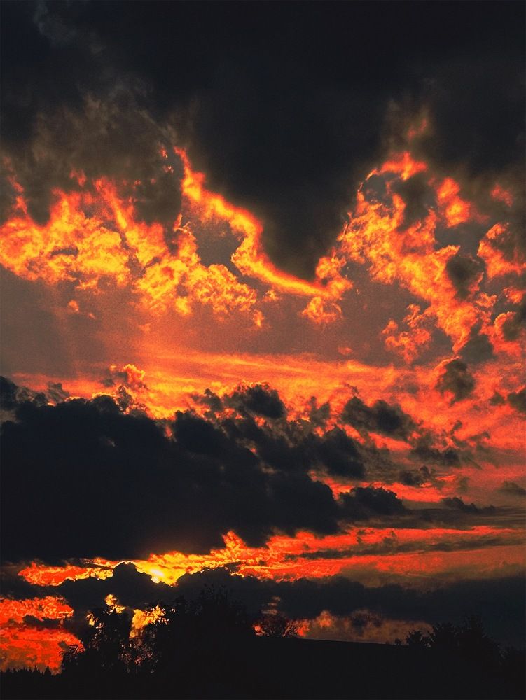 Photograph by Yulia Kotova