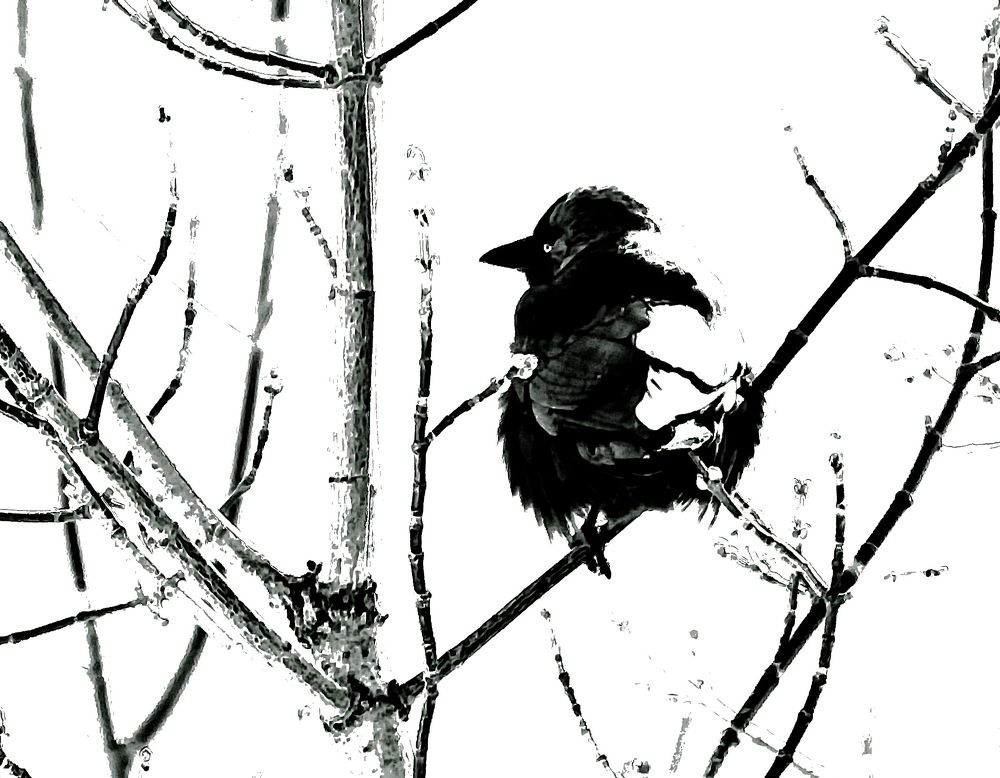 Photograph by Galust Arabyan