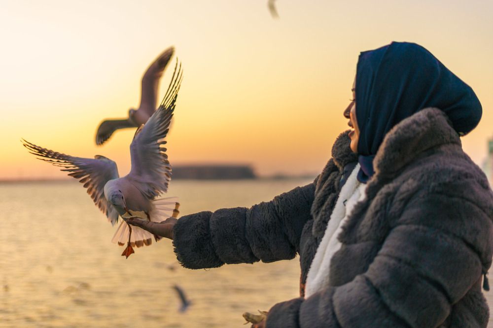 Connection made by patience