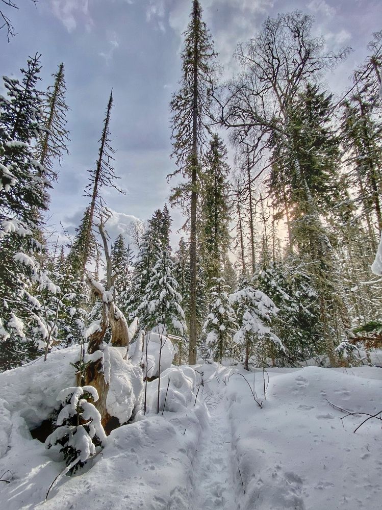 Photograph by Светлана Дмитриева